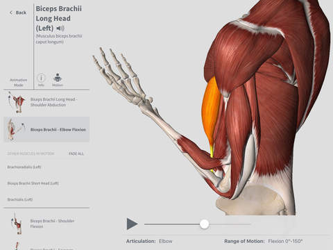 Complete Anatomy #iPad